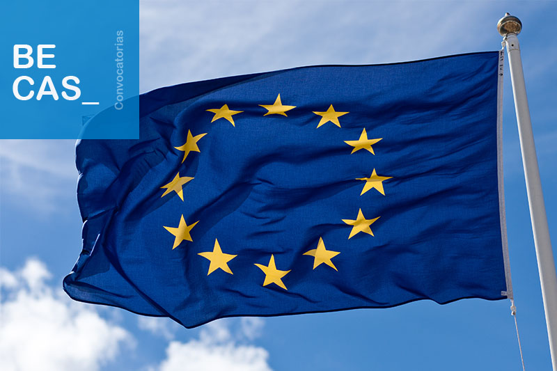 Programa de Prácticas en la Unión Europea &quot;Blue Book&quot;