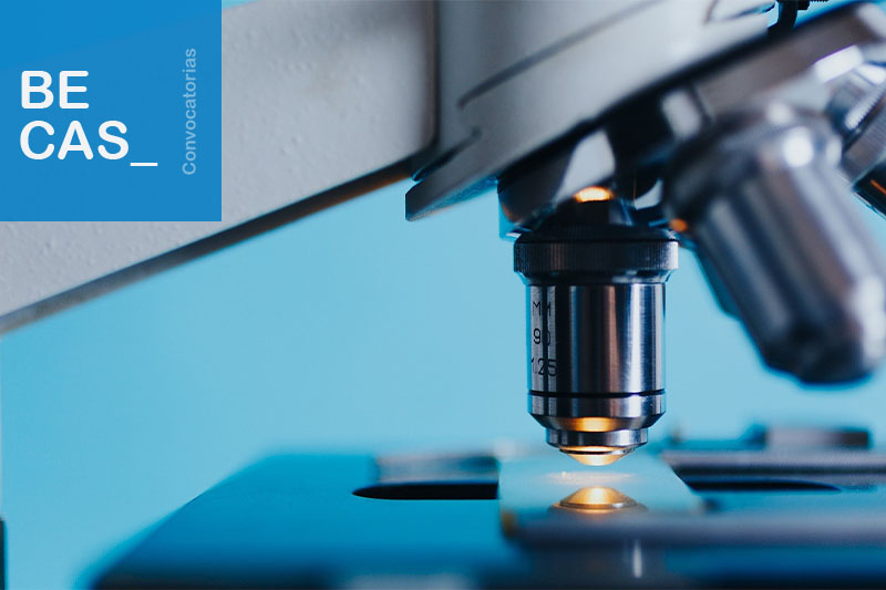 Becas de introducción a la investigación “JAE Intro ICU 2025”