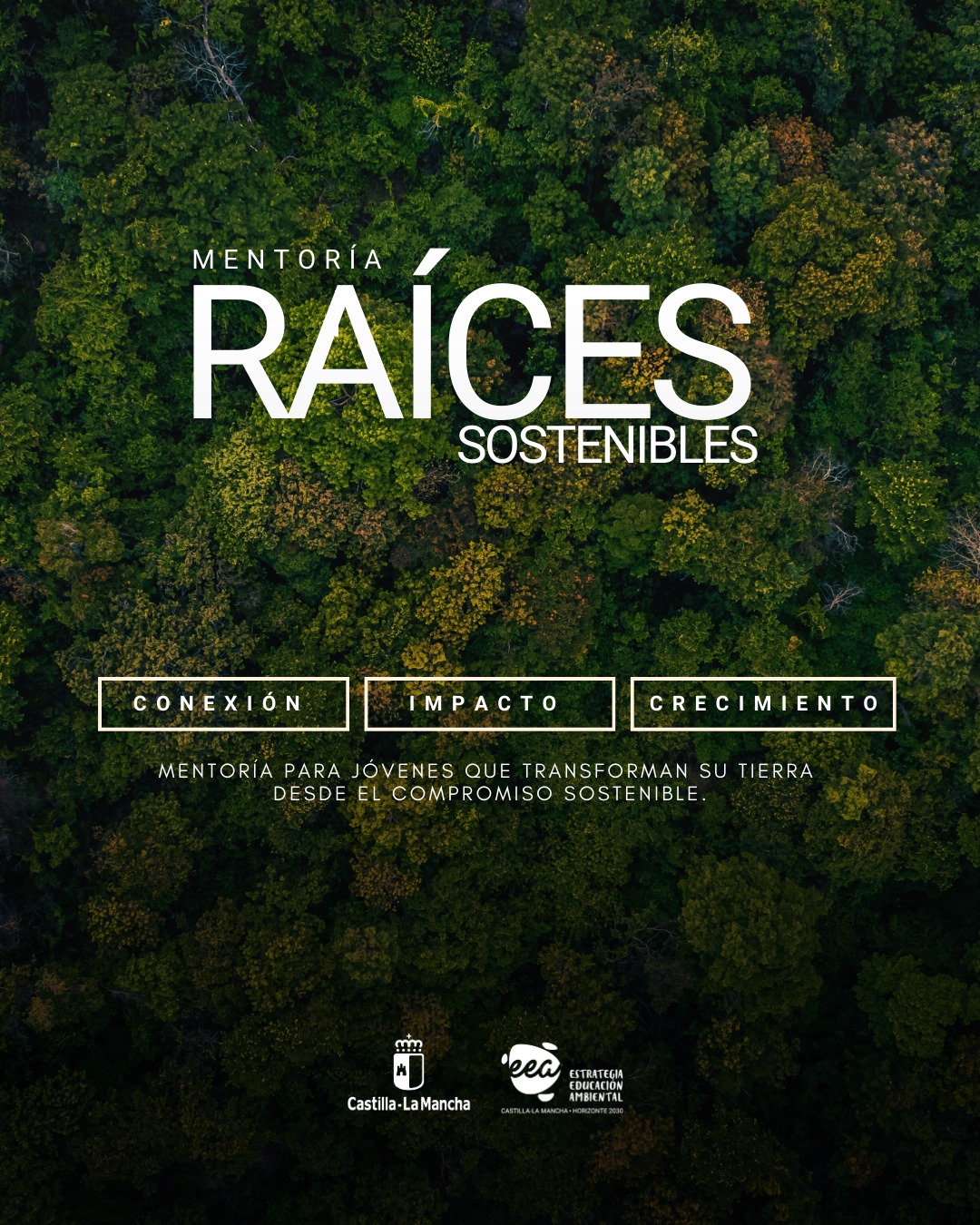 Raíces sostenibles