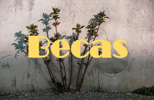 BECAS