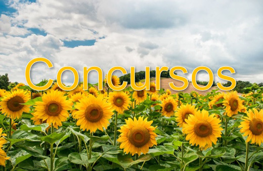 CONCURSO