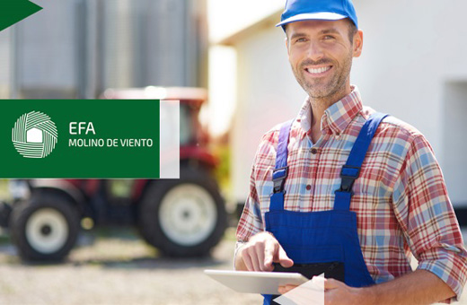 FORMACIÓN