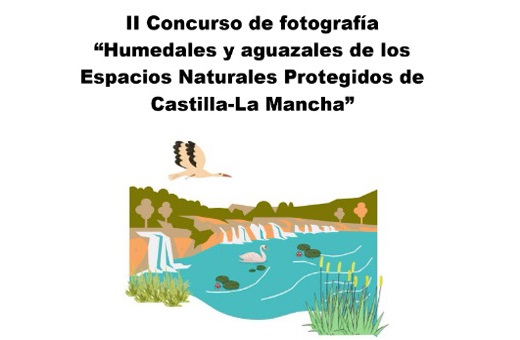 CONCURSO