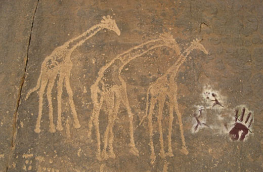 fotoNoticia12851.jpg