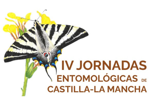 fotoNoticia20536.jpg