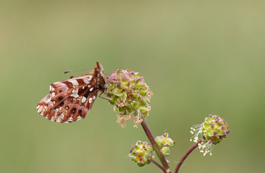 fotoNoticia3447.jpg