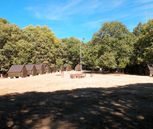 Campamento El Pielago