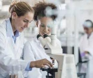 230 puestos para el Programa Empleo Joven 2025 del CSIC