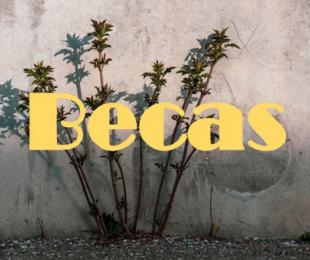 BECAS