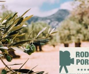 concurso cortometrajes Jaen