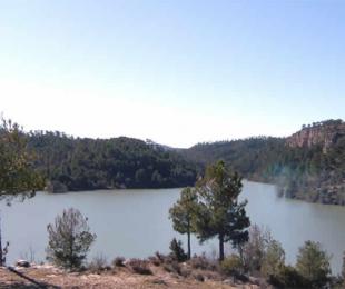 Canadilla 1,Canadilla 2,Canadilla 3,Canadilla 4,Canadilla 5,Canadilla 6