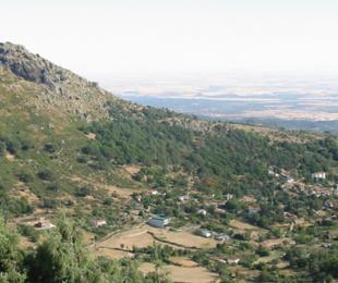 Piélago 1,Piélago 2,Piélago 3,Piélago 4,Piélago 5