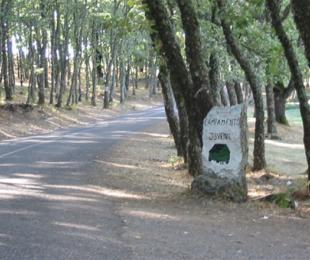 Piélago 1,Piélago 2,Piélago 3,Piélago 4,Piélago 5