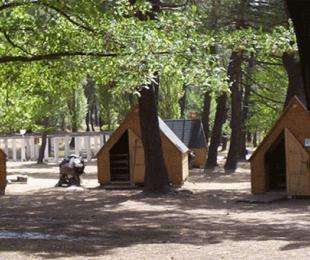 Cabañas 2 Campamento "San Juan de Riopar",Cabañas Campamento "San Juan de Riopar",Cascada Agua Campamento "San Juan de Riopar",Comedor Campamento "San Juan de Riopar",Piscina Campamento "San Juan de Riopar"