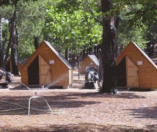 Cabañas 2 Campamento "San Juan de Riopar",Cabañas Campamento "San Juan de Riopar",Cascada Agua Campamento "San Juan de Riopar",Comedor Campamento "San Juan de Riopar",Piscina Campamento "San Juan de Riopar"