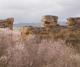 Serranilla 1,Serranilla 2,Serranilla 3,Serranilla 4,Serranilla 5