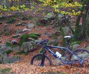 Urda 1,Urda 2,Urda 3,Urda 4,Urda 5