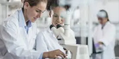 230 puestos para el Programa Empleo Joven 2025 del CSIC