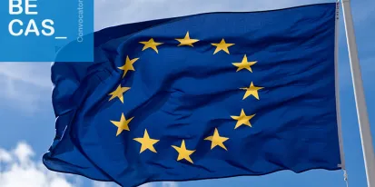 Programa de Prácticas en la Unión Europea &quot;Blue Book&quot;