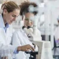 230 puestos para el Programa Empleo Joven 2025 del CSIC