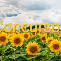 CONCURSO