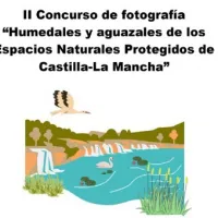CONCURSO